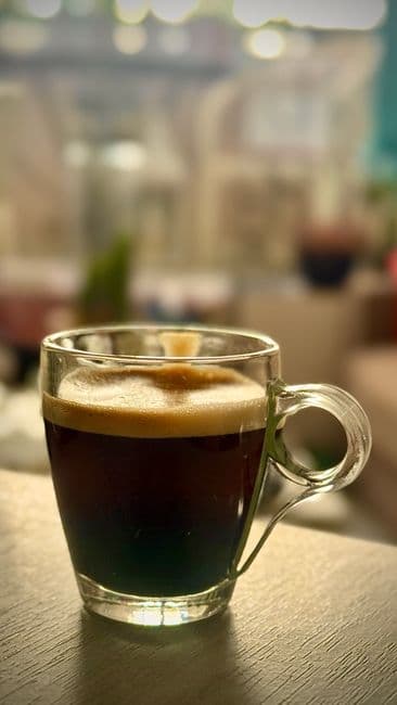 Lungo