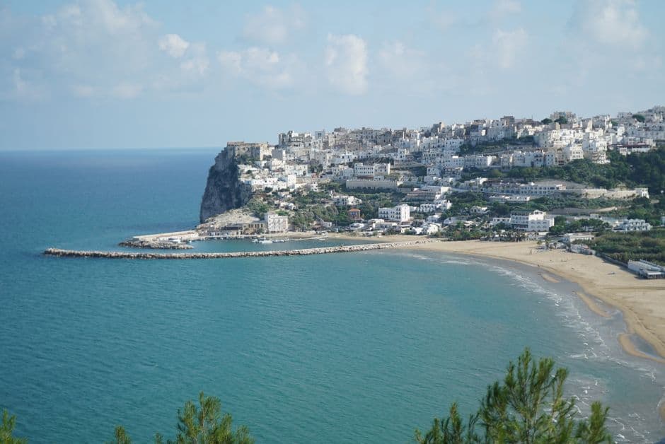 Mediterránea